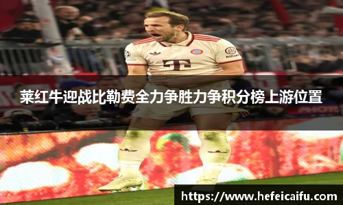 球速体育平台入口