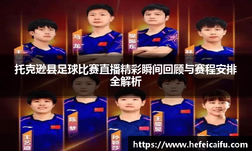球速体育平台入口