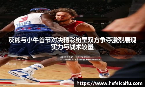 球速体育平台入口
