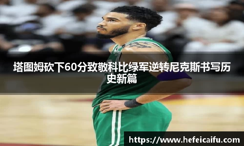 球速体育平台入口